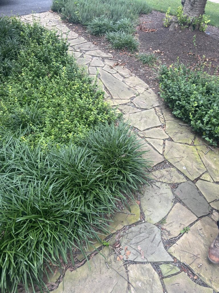 527390446_1090636166465899_2542617089821189003_n